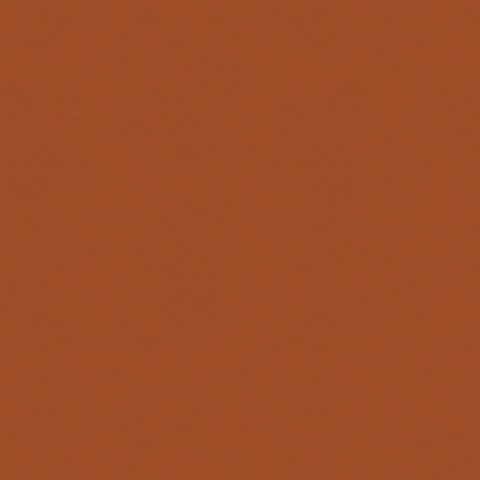 8.5x11 - Ginger- Classic *DISC*