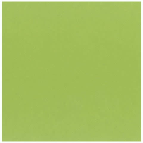 8.5X11 - Kiwi - Classic *DISC*