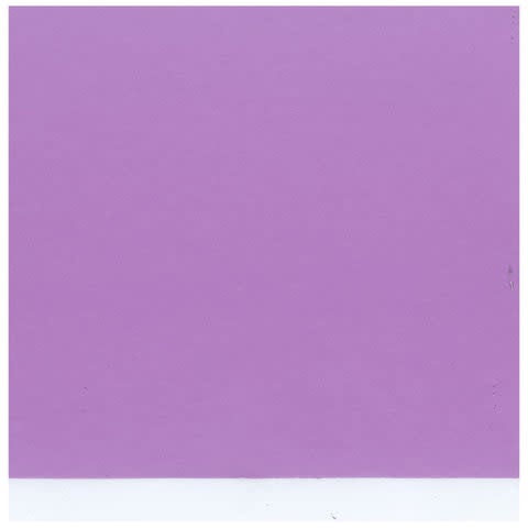 8.5x11 - Phlox - Classic *DISC*
