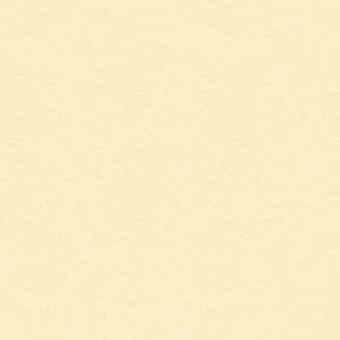 8.5x11 - Ivory - Classic  *DISC*