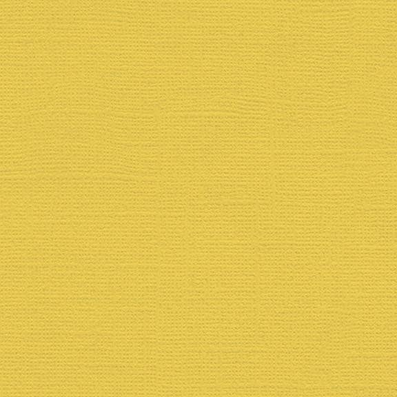 12x12 - Banana Pepper - Canvas *DISC*