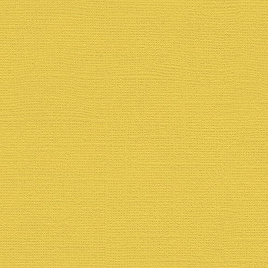 12x12 - Banana Pepper - Canvas *DISC*