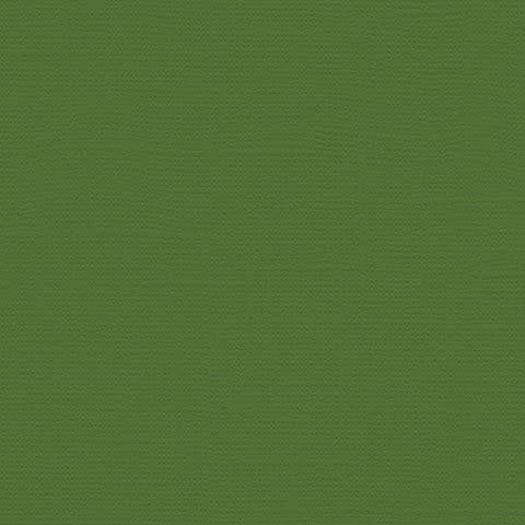 12x12 - Desert Cactus - Canvas   *DISC*