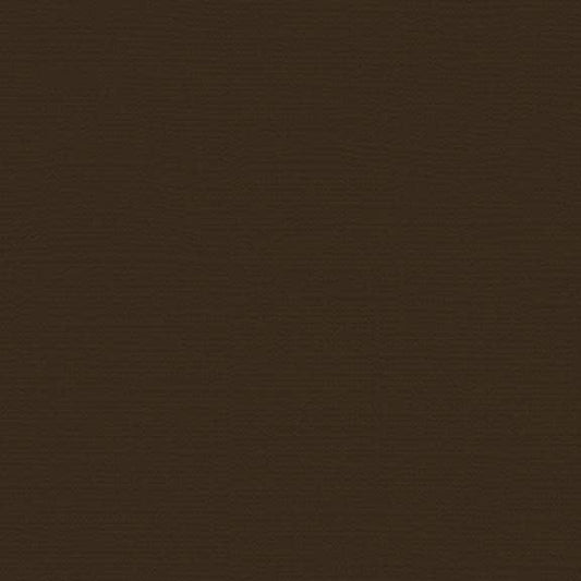 12x12 - Brown Eyes - Canvas *DISC*