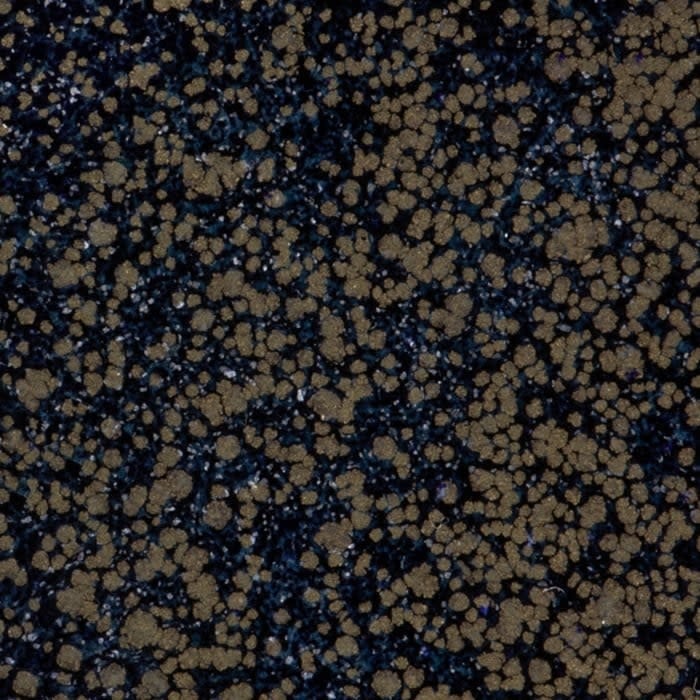 WOW! Midnight by Natasha Davies