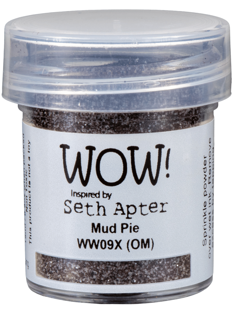 WOW! Mud Pie by Seth Apter